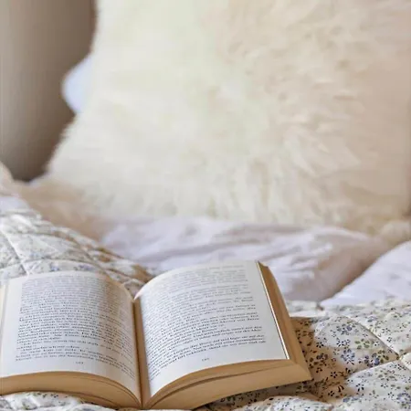 2556-romo-kromosevej-15